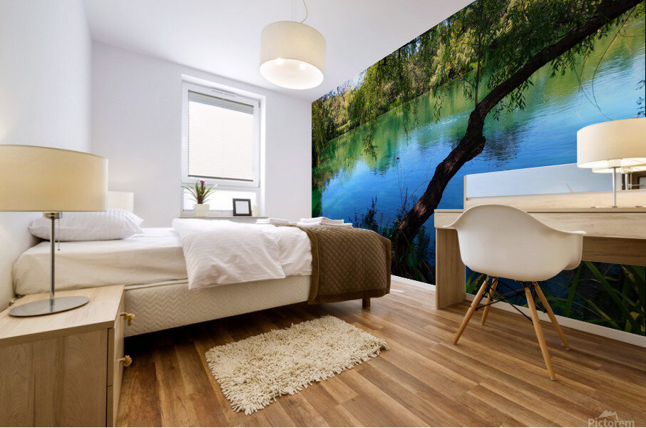 Pond Do 2 Mural print