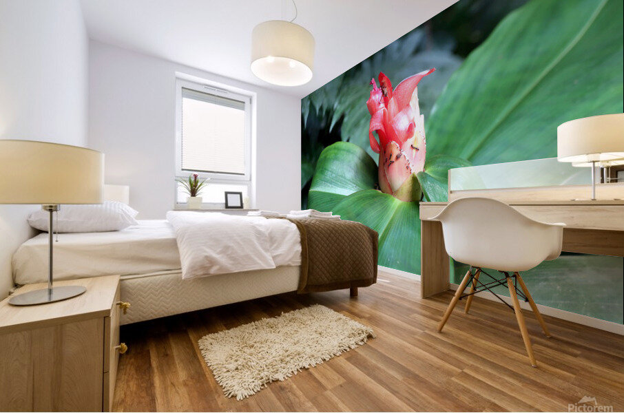 Flower Bud Mural print