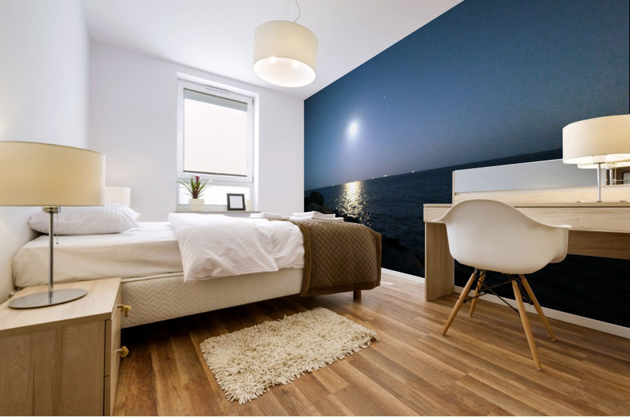 Reflections of the Moon at Poolbeg Mural print