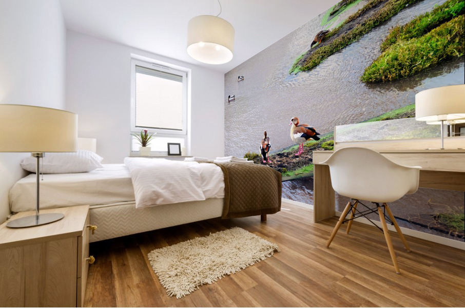 In Living Color Ducks Mural print