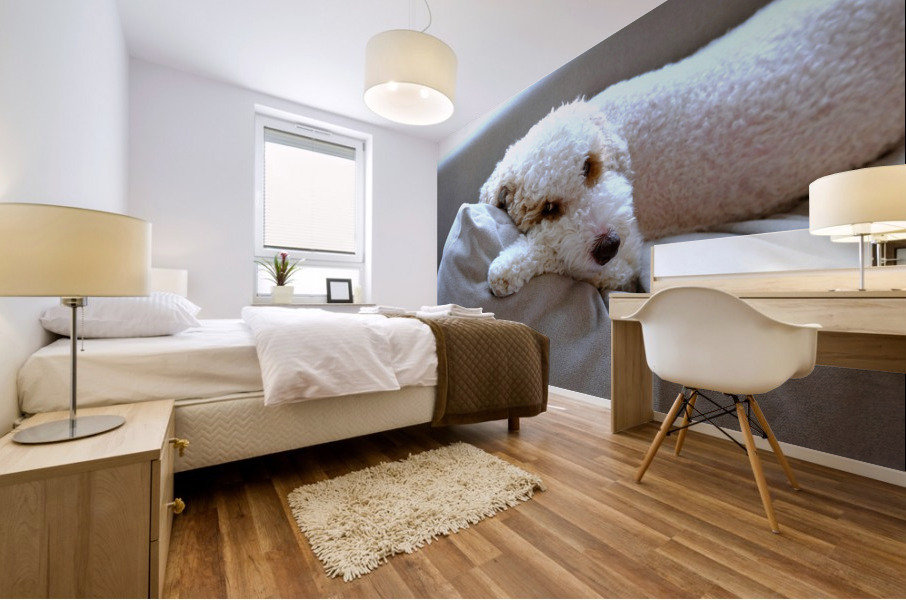 Not Pouting Pooch Mural print