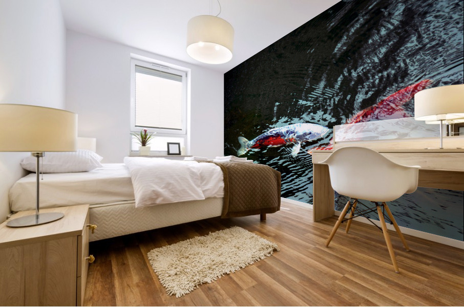 Playful Koi 2 Mural print