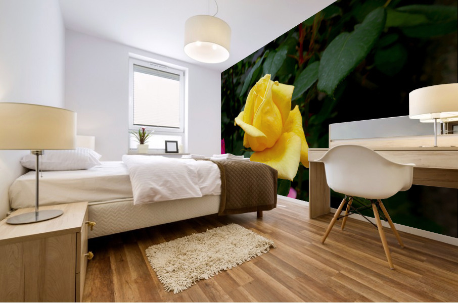 Yellow Rose Mural print