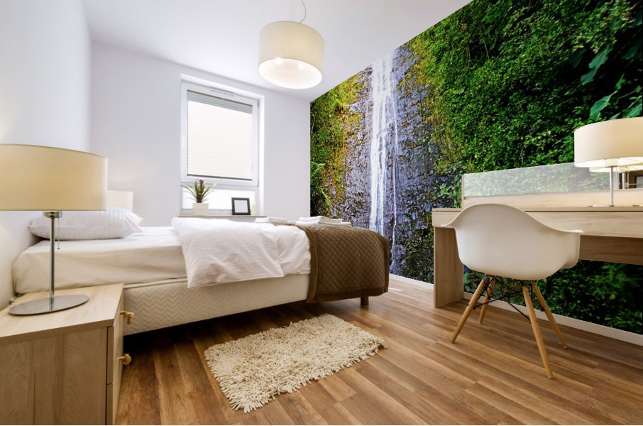 Falling for Colors B Mural print