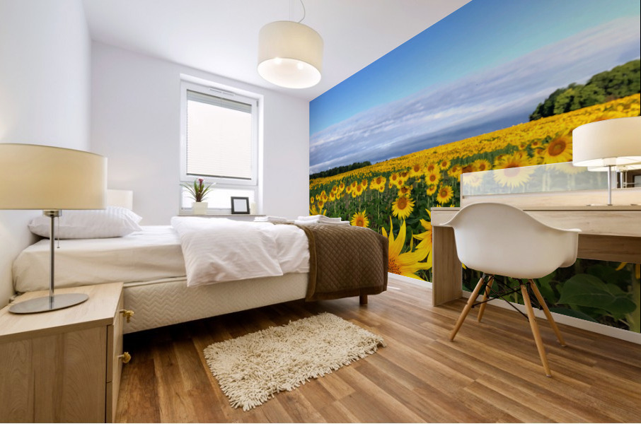 Fields of Joy Mural print