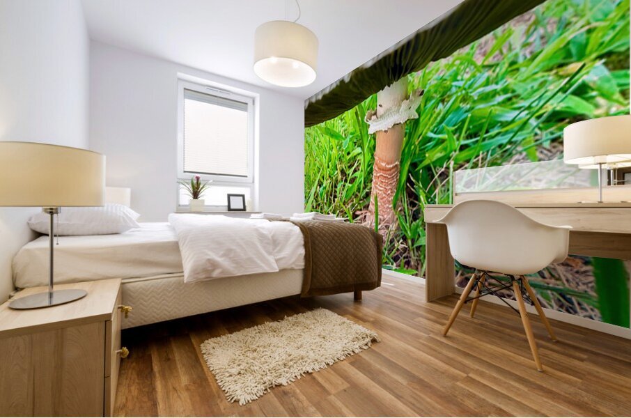 Under the Cap: A Fungal World Revealed Mural print