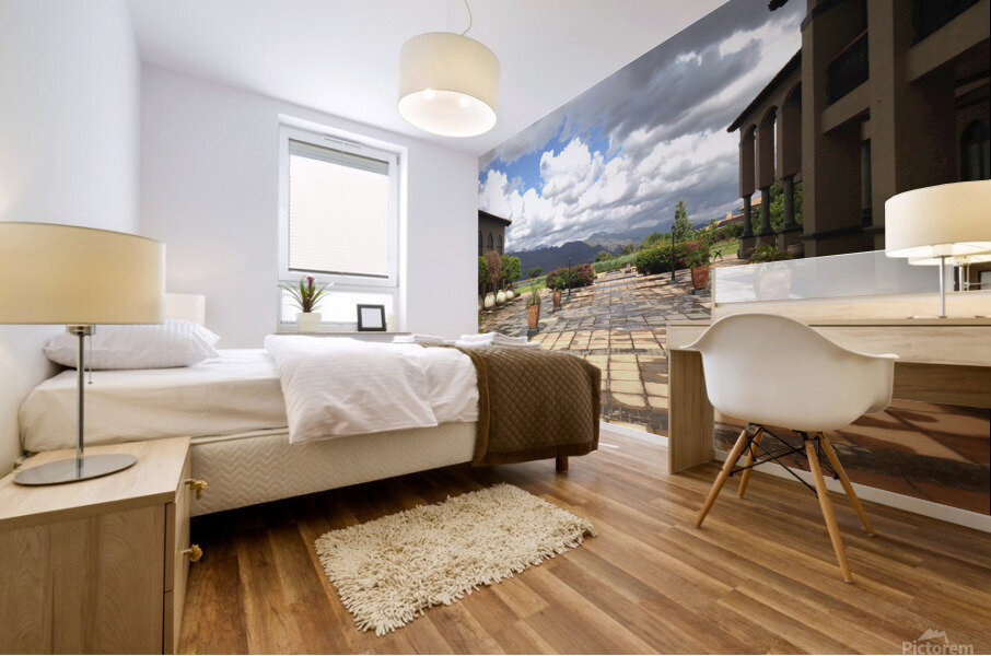 Out of Africa 1 Mural print