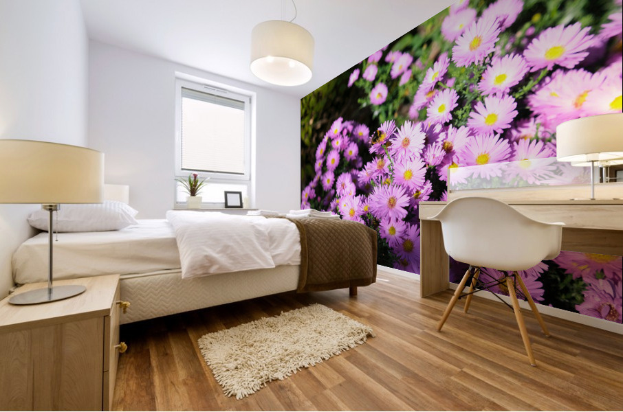 Pink Daisies  Mural print