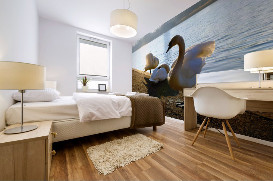 Swan Yoga Morning Stretch 3 Mural print