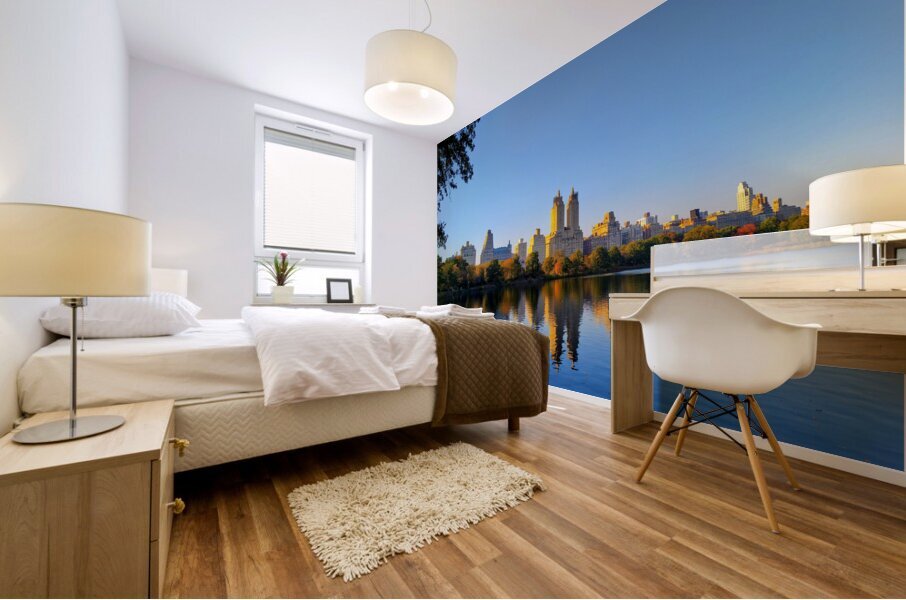 Urban Calm: Central Park View Mural print