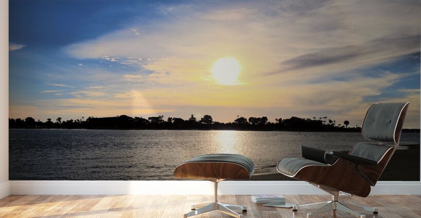 Soft Waves Carry the Day’s Goodbye Wall Murals