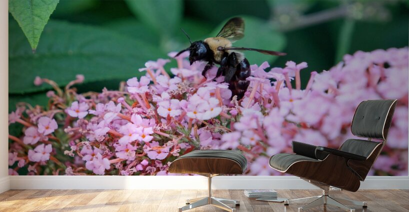 Just Bee Still In Fields of Pink Wall Murals