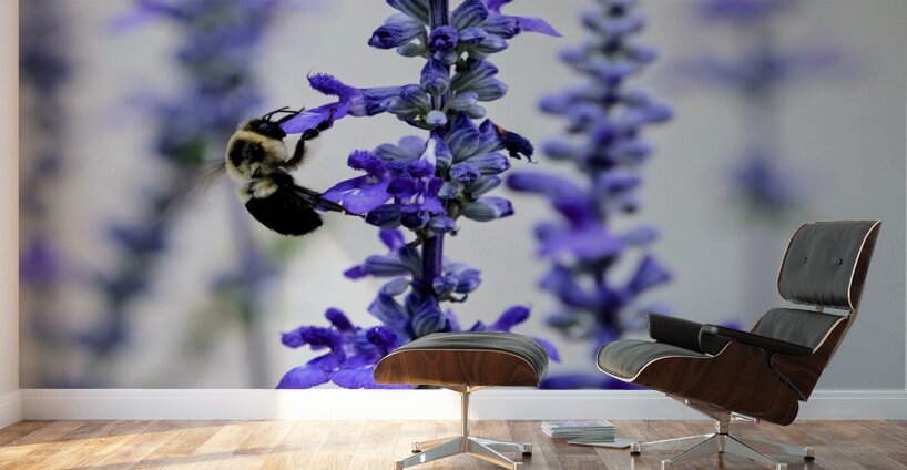 Lavender Towers and the Bee Wall Murals