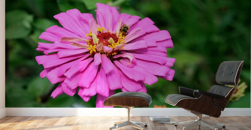 Buzzing Secrets of a Summer Queen Wall Murals