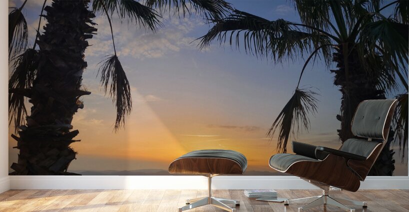 Between Palms and Possibility Wall Murals