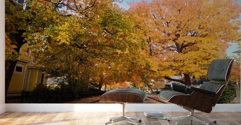 Fall Over the Road: Whispers of Fall Wall Murals