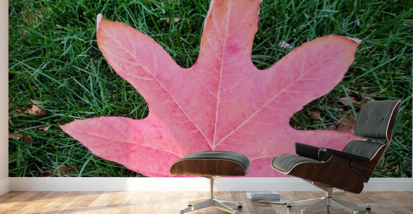 Leaf Me on the Grass Wall Murals