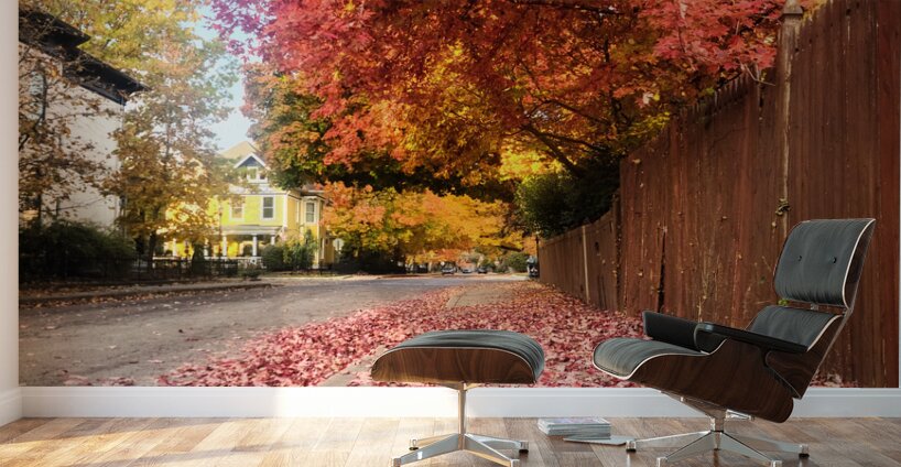 Fall Over the Fence  Wall Murals