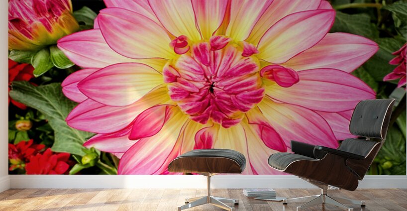 Petal Prism: Nature’s Geometry Wall Murals