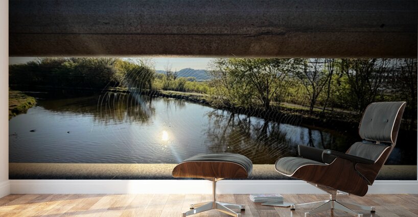 Spider Web on Bridge at Sunrise – Nature Framed in Stillness 2 Wall Murals