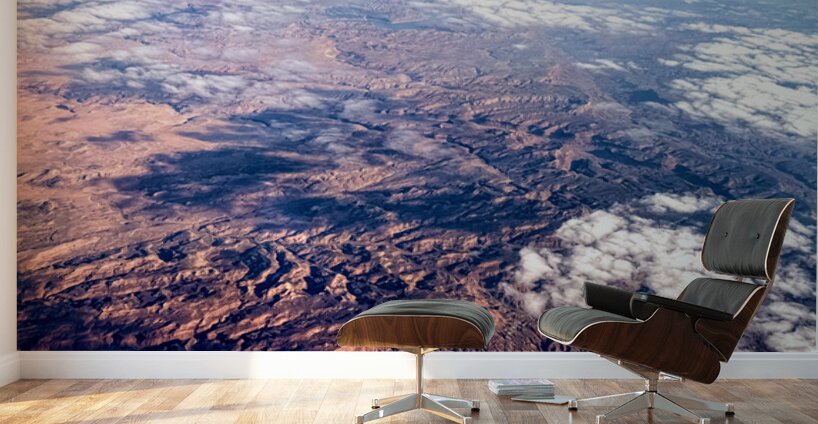 Veins of the Earth: Colorado River from Above Wall Murals