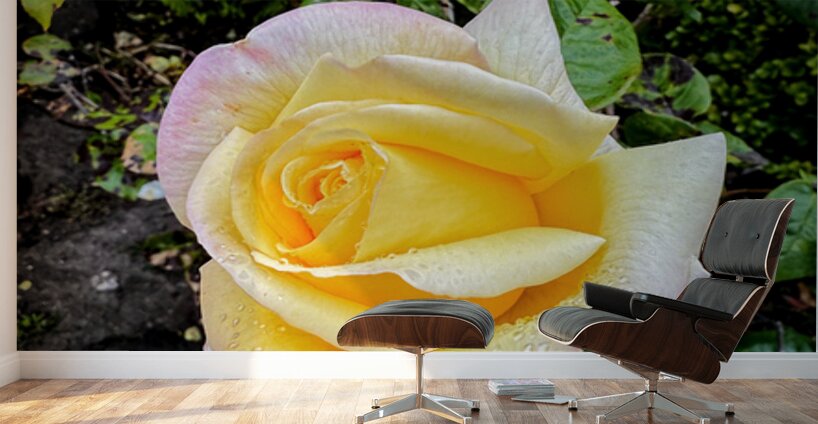 Alchemy in Bloom Wall Murals