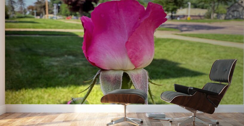 Petalbound: The Secret Just Before Beauty Speaks Wall Murals