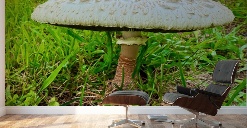 Crowned by the Earth Wall Murals