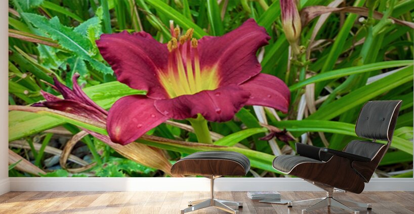 Burgundy Muse Wall Murals