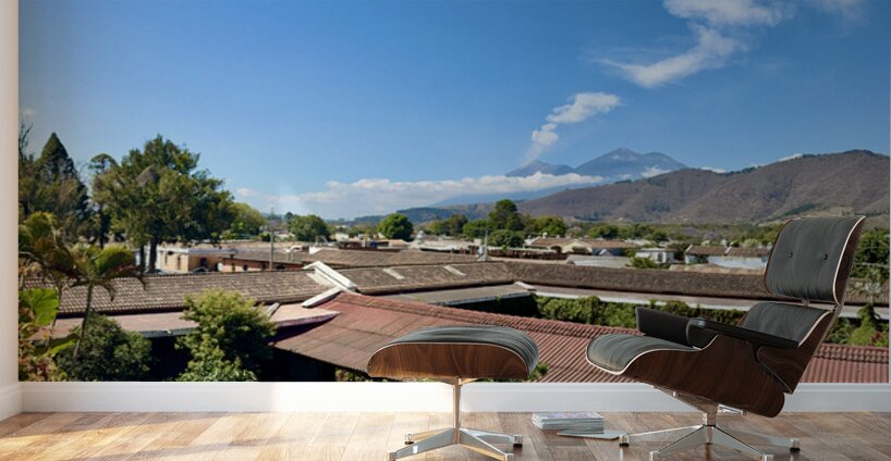 IMG 0093 Wall Murals