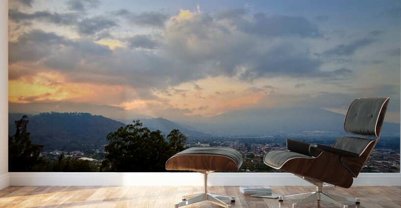 IMG 0498 Wall Murals