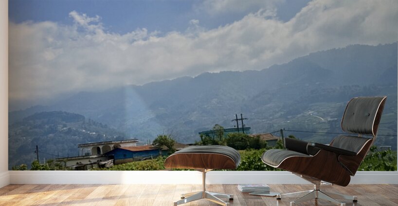 IMG 9268 Wall Murals