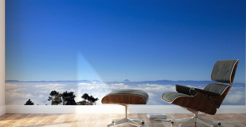 IMG 9129 Wall Murals