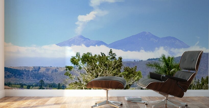 IMG 0148 Wall Murals