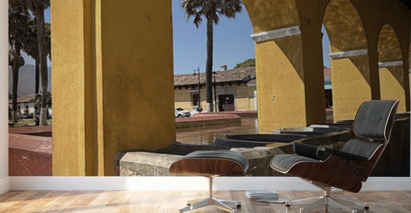 IMG 0304 Wall Murals