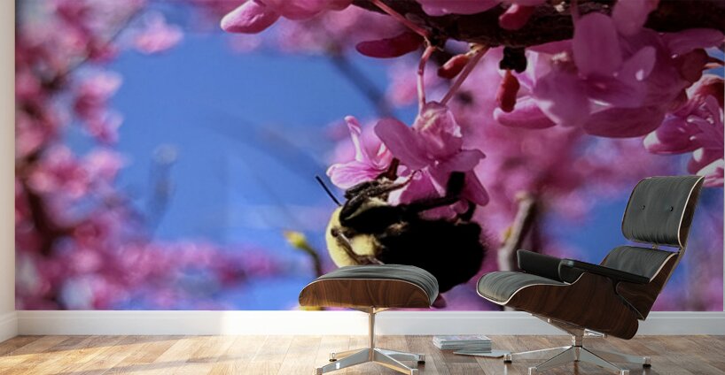 IMG 1648 Wall Murals