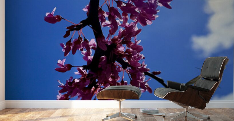 Blossom & Wing Wall Murals