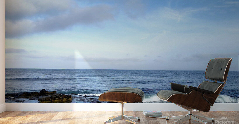 Seal Bird Watching 3 Wall Murals