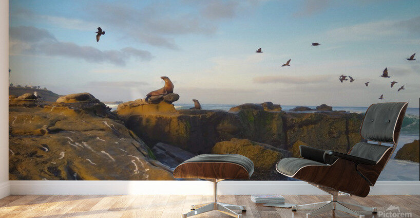 Seal Bird Watching Wall Murals