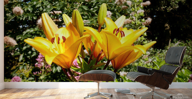 Bursting Beauty 2 Wall Murals