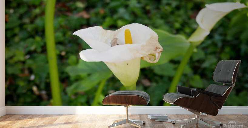 Golden Rod Exposed 2 Wall Murals