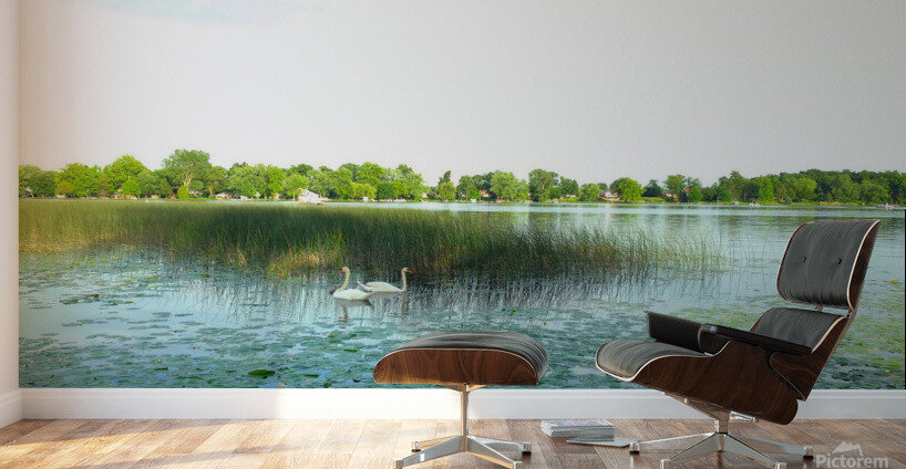 MI Swan Lake Wall Murals