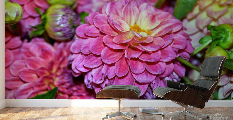 Flower Bloom 1 Wall Murals