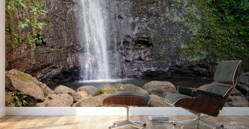 Hiking Hawaii 4 Wall Murals