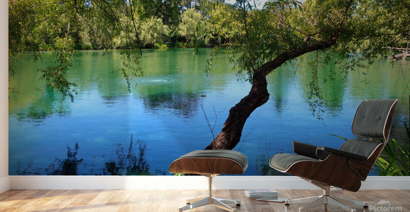 Pond Do  Wall Murals