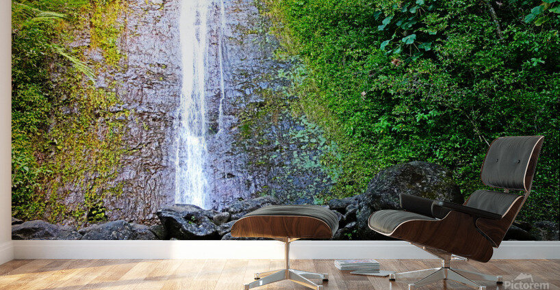 Falling for Colors Wall Murals