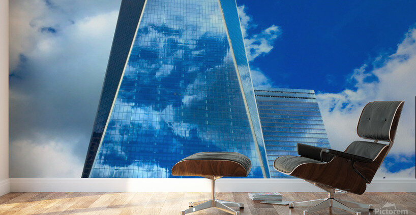 Reflection of Freedom Wall Murals