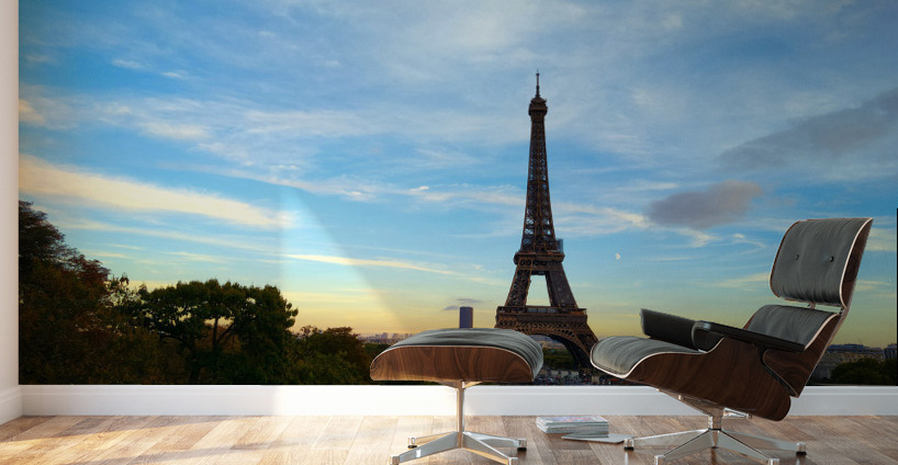 Eiffel Tower 2C Wall Murals