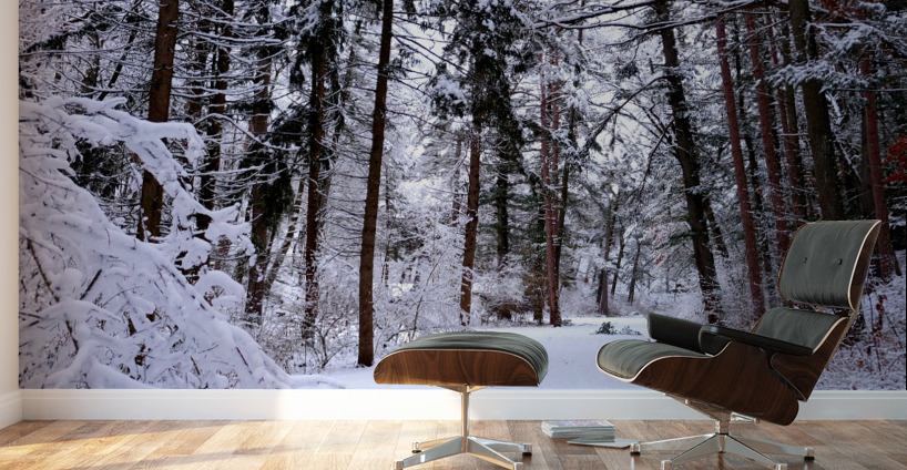 Winterscape Wall Murals