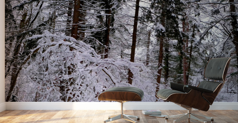 Bowing to Winter 2 Wall Murals